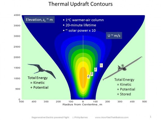 Regenosaur will share characteristics with large soaring birds, but won't have to land to refuel