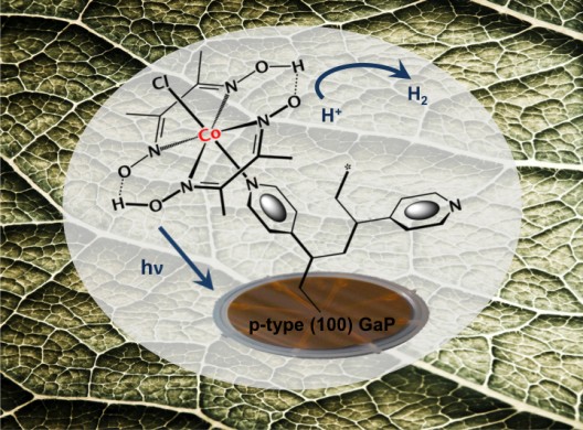 Bionic leaf follows natural processes to produce hydrogen as end product