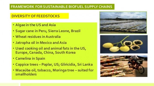 Several of the biofuel programs Boeing is managing worldwide